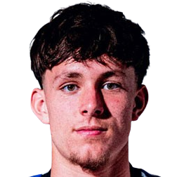 奥托·埃默森·斯坦奇