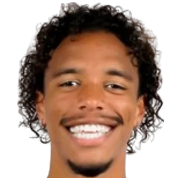 泰迪·安达米·阿维兰特